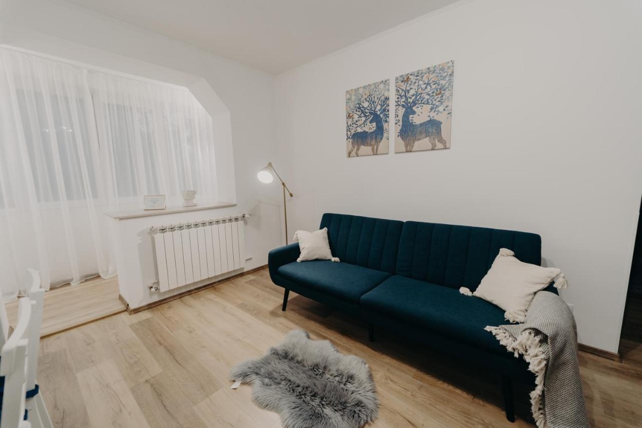 Apartamentul Albastru Vatra Dornei Exterior photo